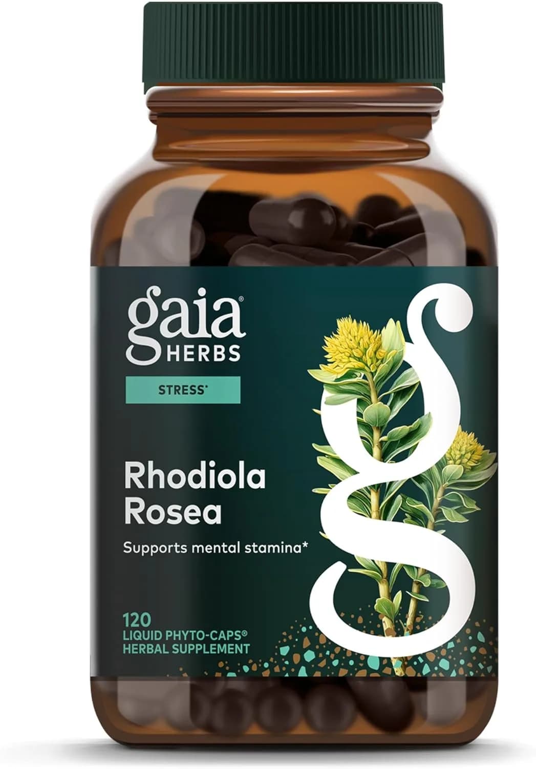Gaia Herbs Rhodiola Rosea - Stress Support Supplement Traditionally for Supporting Healthy Stamina & Endurance* - with Siberian Rhodiola Root Extract - 120 Vegan Liquid Phyto-Caps