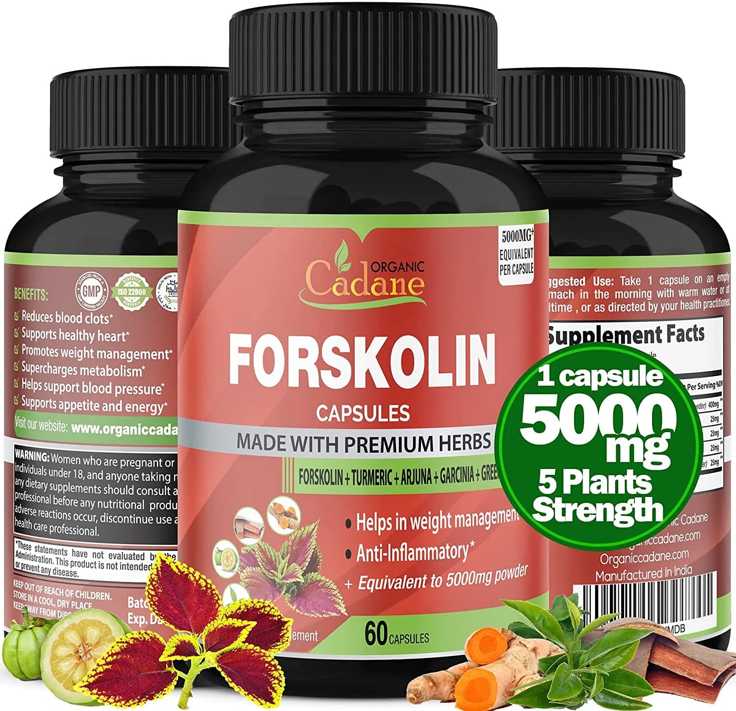 Organic Cadane Organic Forskolin Extract Capsules 5000MG with Turmeric Curcumin, Arjuna, Garcinia Cambogia, Green Tea | Maximum Strength India Supplements | Support Nourishing Diet Coleus Forskohlii, Energy Booster مستخلص فورسكولين العضوى 5000 مجم ، مع الكركم والارجونا والجارسينيا كمبوجيا والشاى الأخضر ، لدعم فقدان الوزن ولدعم إنتاج الطاقة