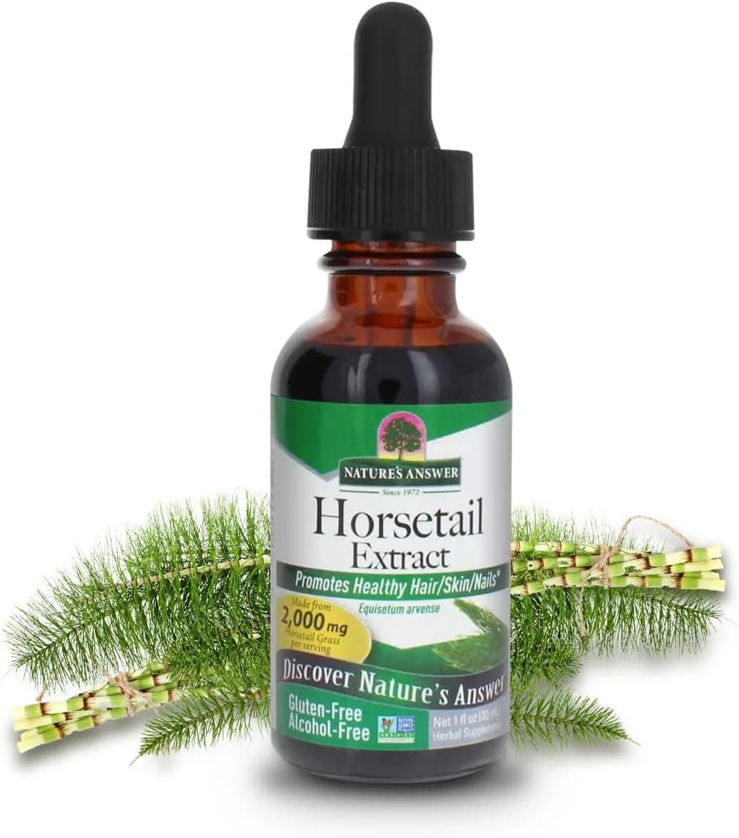 Alcohol-Free Horsetail Herb Extract Supplement, 30 mL by Nature's Answer