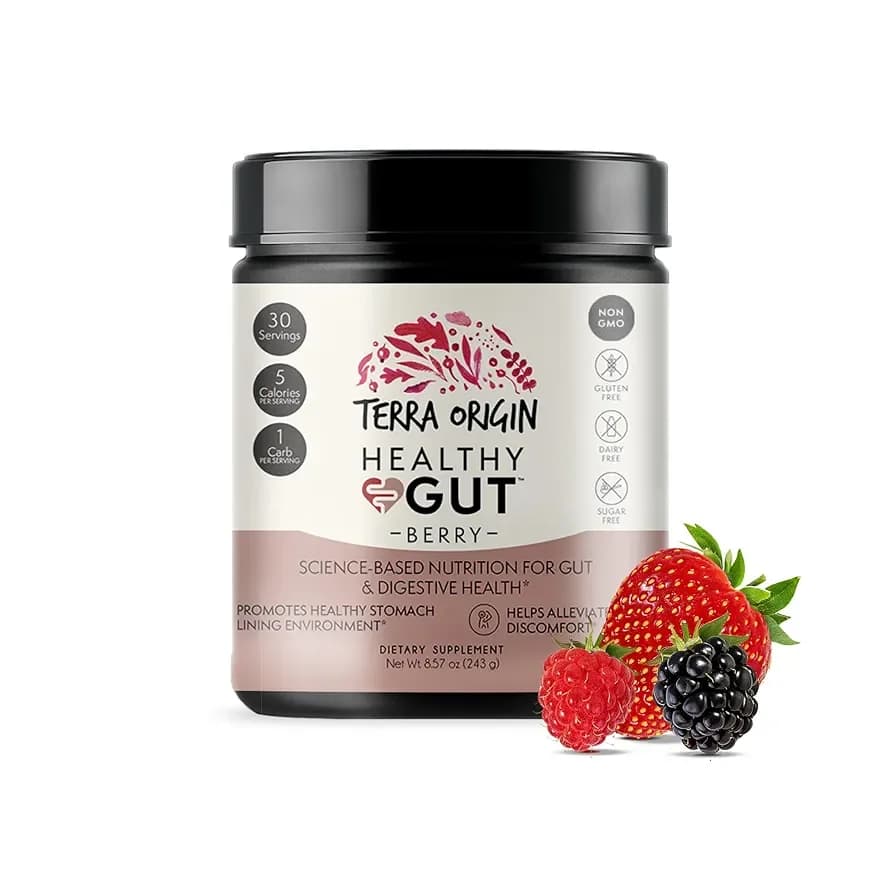 Terra Origin Healthy Gut Powder | Supports Gut Lining & Digestion | 30-Servings (243 gm )