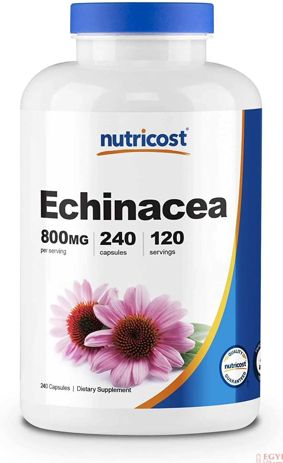 Echinacea High Quality Veggie Caps 120 Servings, 800 mg, 240 Capsules by NutriCost